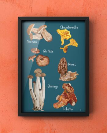 A Selection of Mushrooms - Orange Background