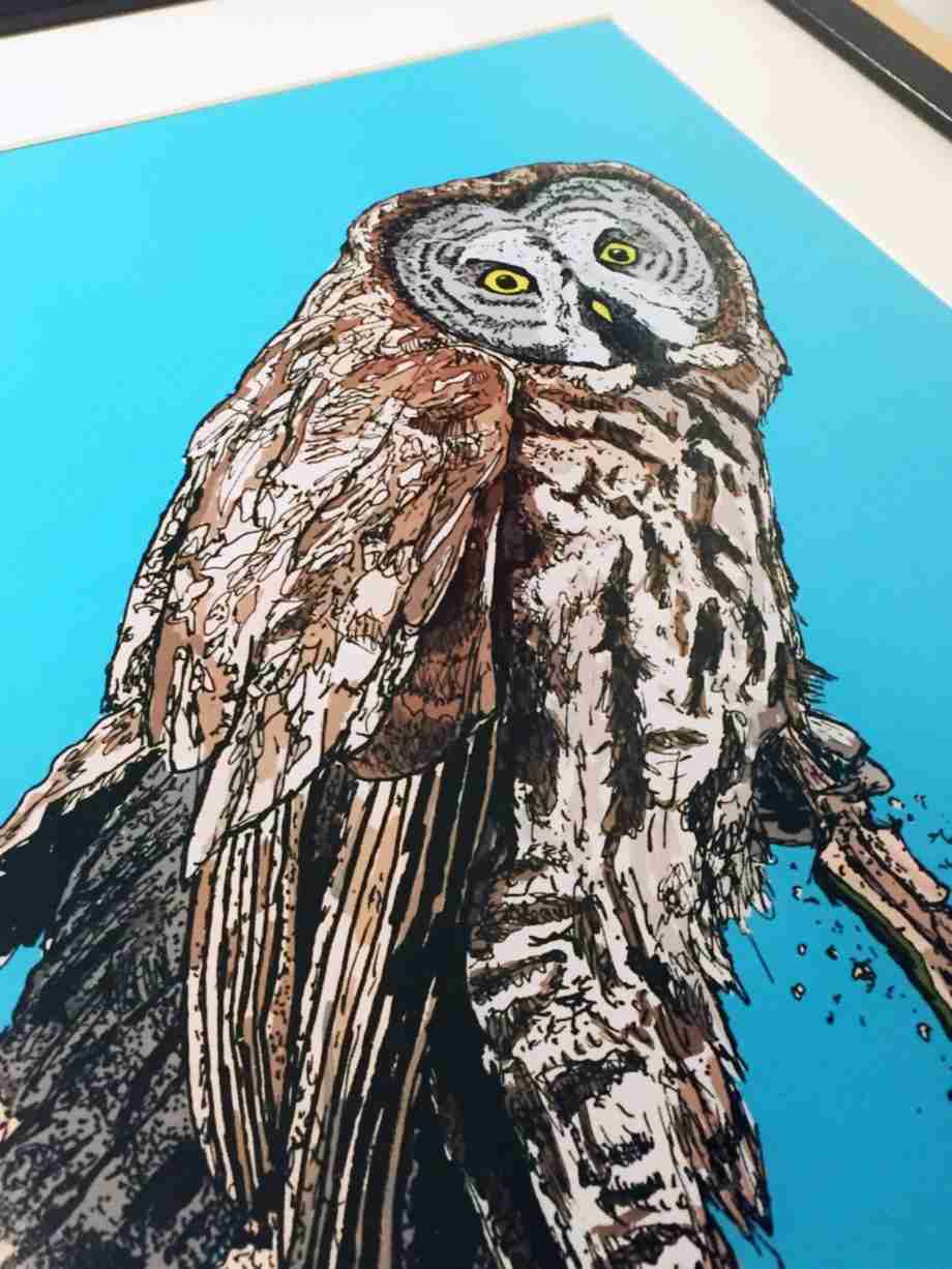 Close up of Great Grey Owl - Portrait Art Print by Pierce Braysher Illustration