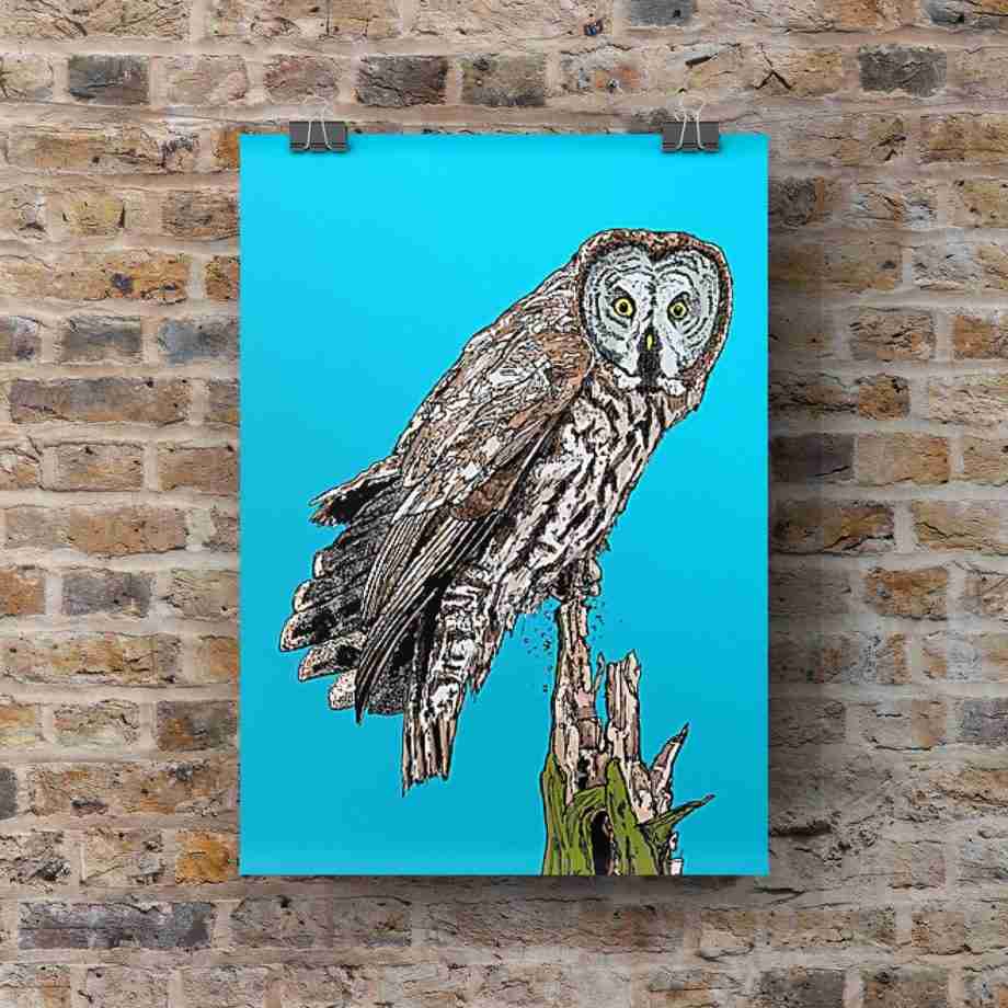 Great Grey Owl - Portrait Art Print by Pierce Braysher Illustration