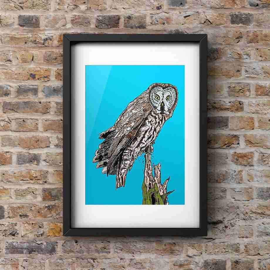 Great Grey Owl - Portrait Art Print by Pierce Braysher Illustration in a mounted frame