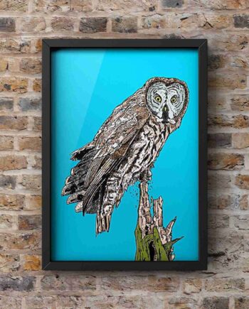 Great Grey Owl - Portrait Art Print by Pierce Braysher Illustration unmounted frame on brick wall