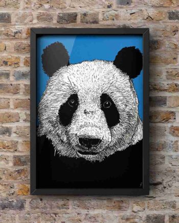 The Lazy Bear - Panda Portrait Print unmounted in Black frame