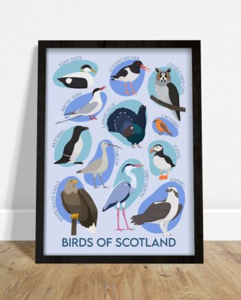 Birds of Scotland Giclee Art Print