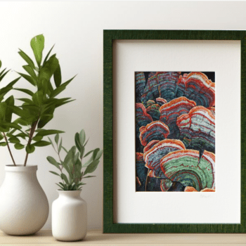 Green turkey tail mushroom print