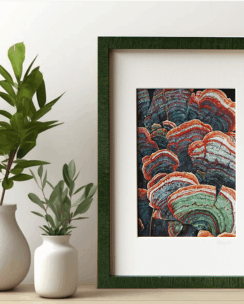 Green turkey tail mushroom print