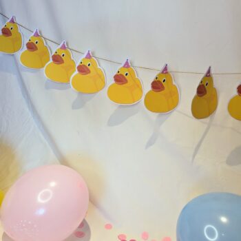 Duck Party Bunting