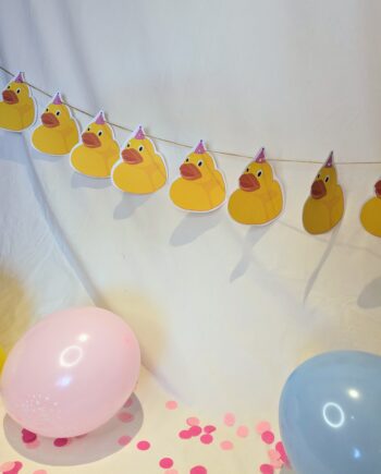 Duck Party Bunting