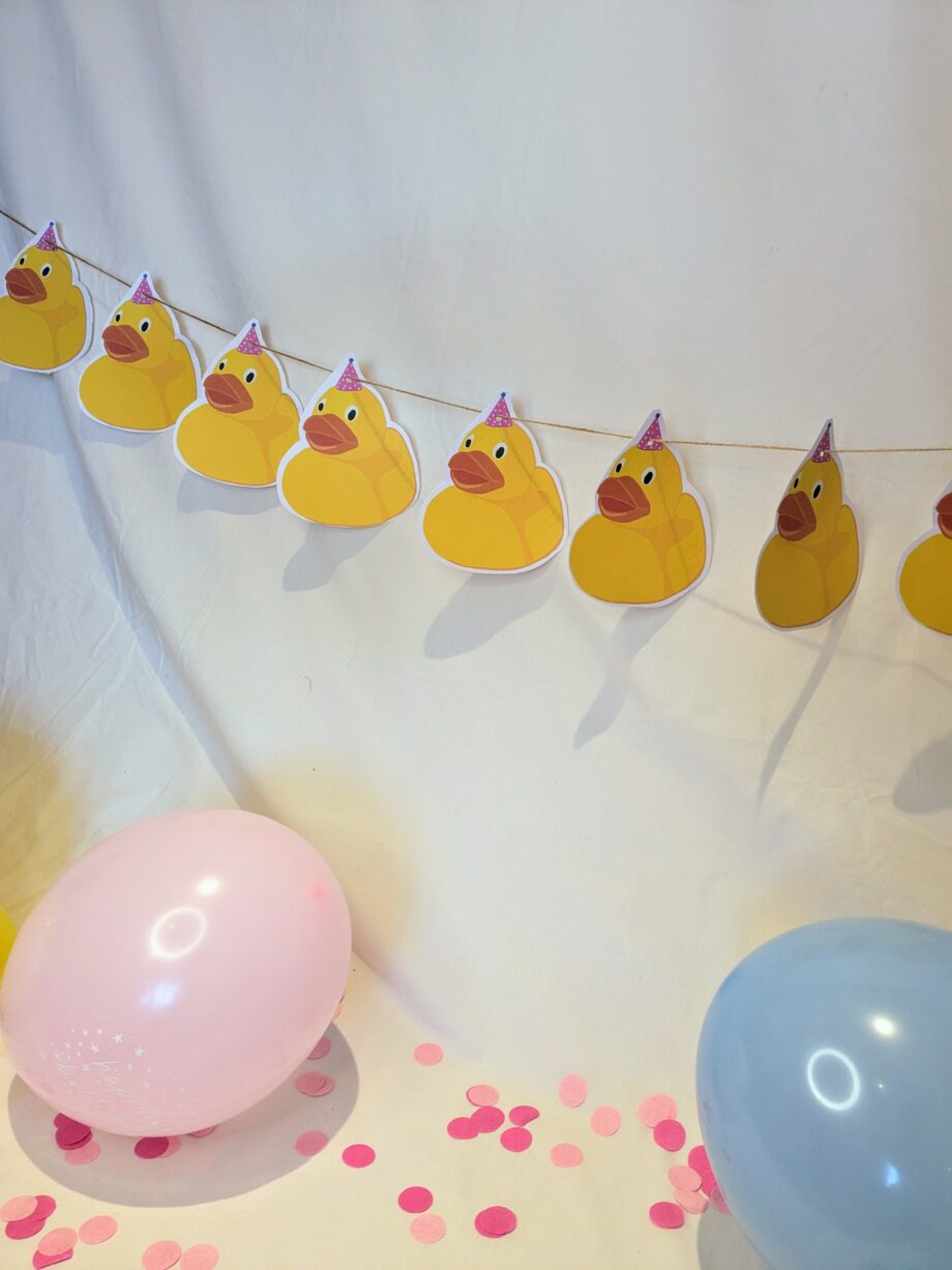 Duck Party Bunting