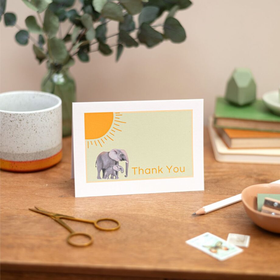 Elephant Themed Thank You Cards - Blank Cards Set of 8