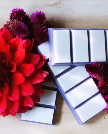Blueberry and Vanilla Soy Wax Snap Bar
