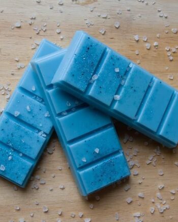 Sea Breeze Soy Wax Snap Bar