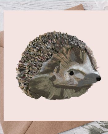 A hand drawn hedgehog on a pink background