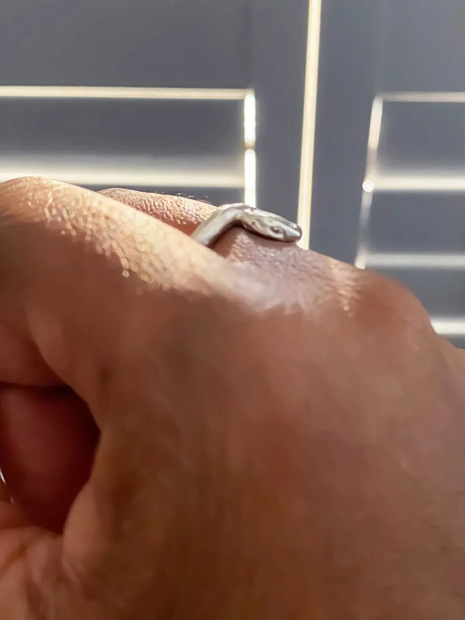 Side view of the Circle Accent Ring catching sunlight on hand