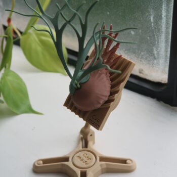 Staghorn Fern Model