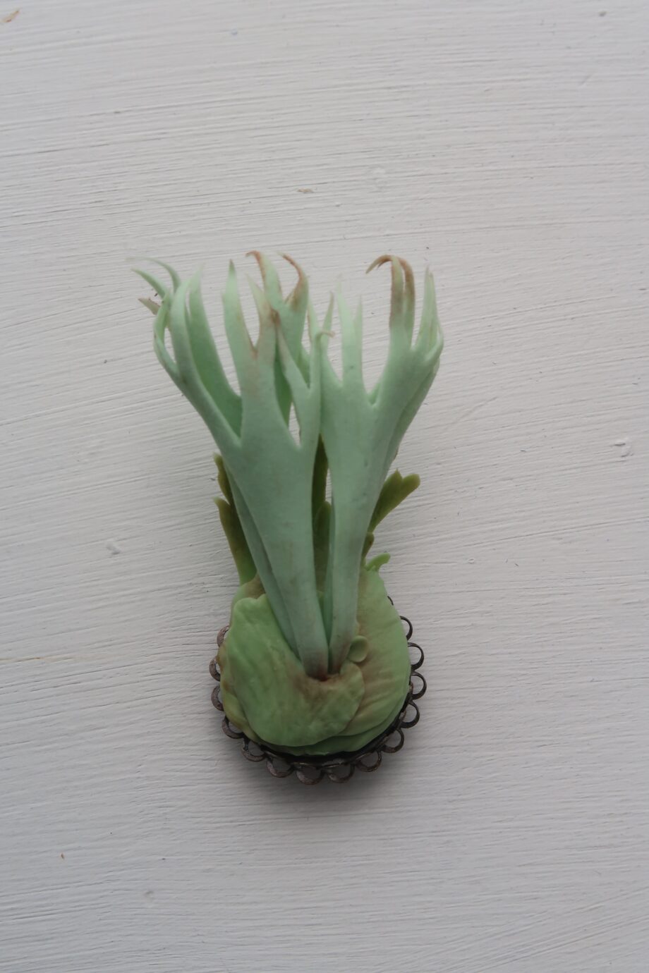 Handmade clay staghorn fern brooch