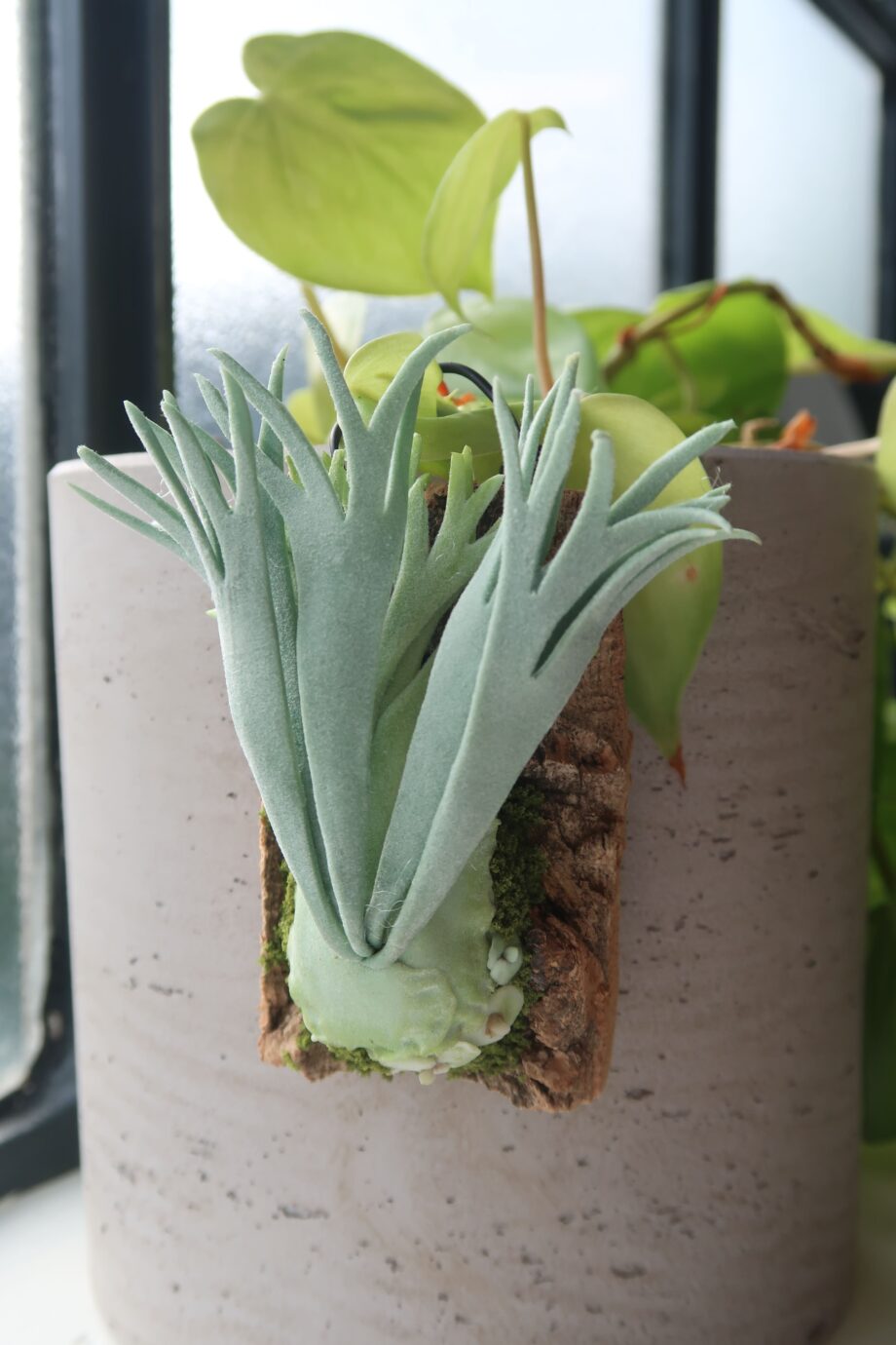 Handmade Clay Staghorn Fern Art Hanging