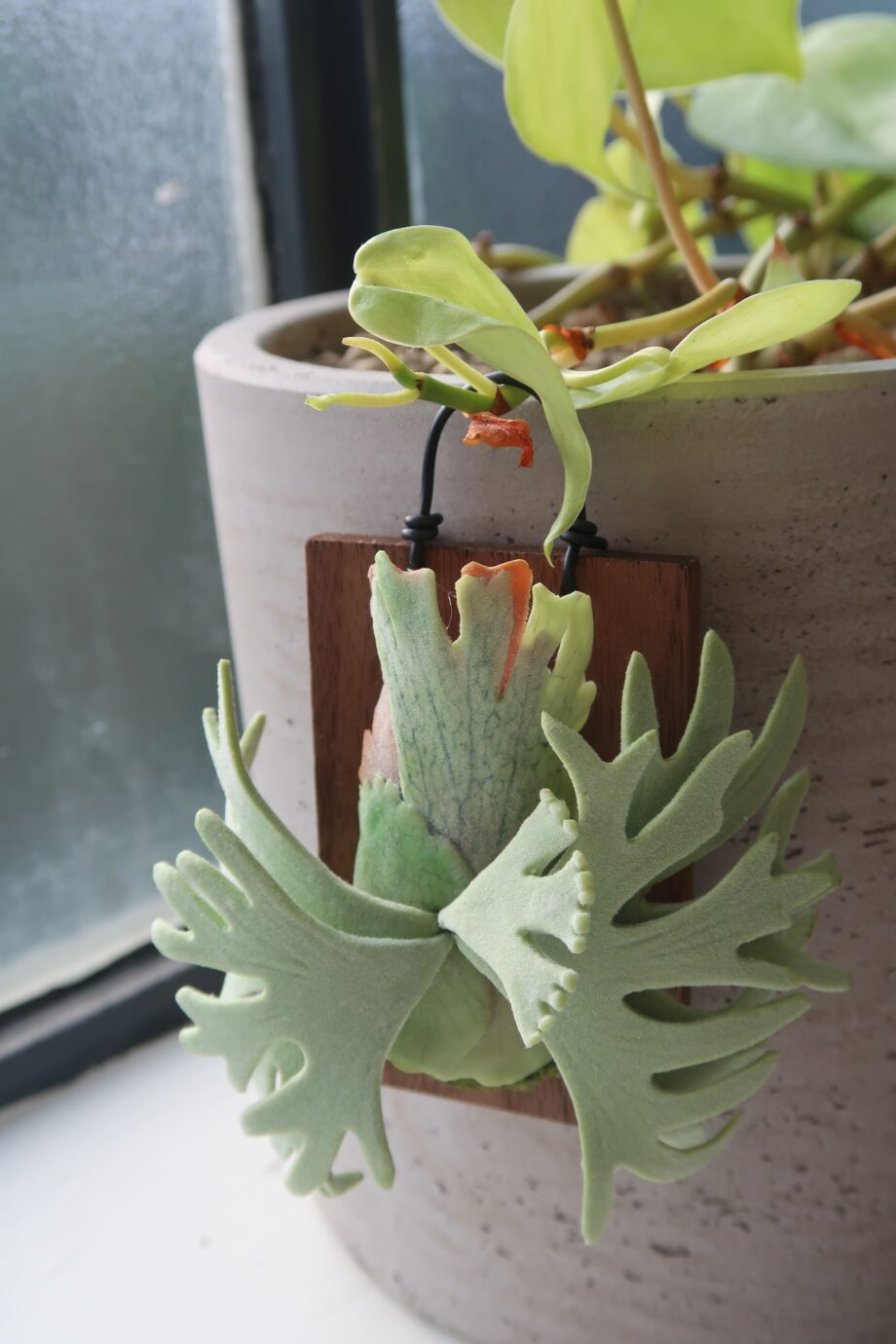 Handmade Clay Staghorn Fern Art Hanging