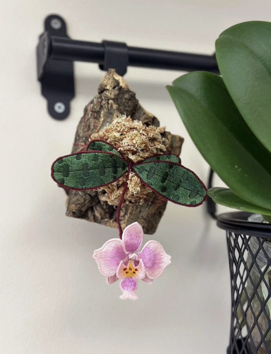 Embroidered Phalaenopsis Orchid Art Piece