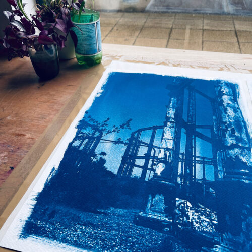 Marina Cyanotypes Marina Cyanotypes