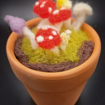 Needle Felted Mushrooms in a Terracotta Pot.