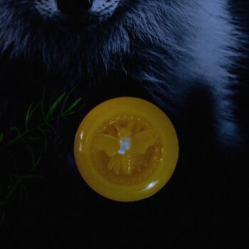 Round yellow candle with a bee imprint on a dark background