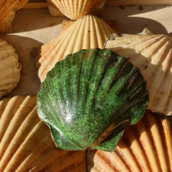 Deep Green Scallop Shell