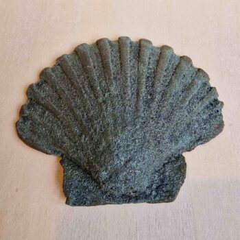 Blue Green Bubbly Scallop Shell