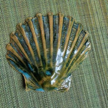 Mixed Blue Scallop Shell
