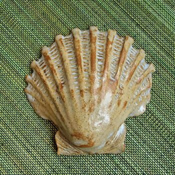 White Scallop Shell