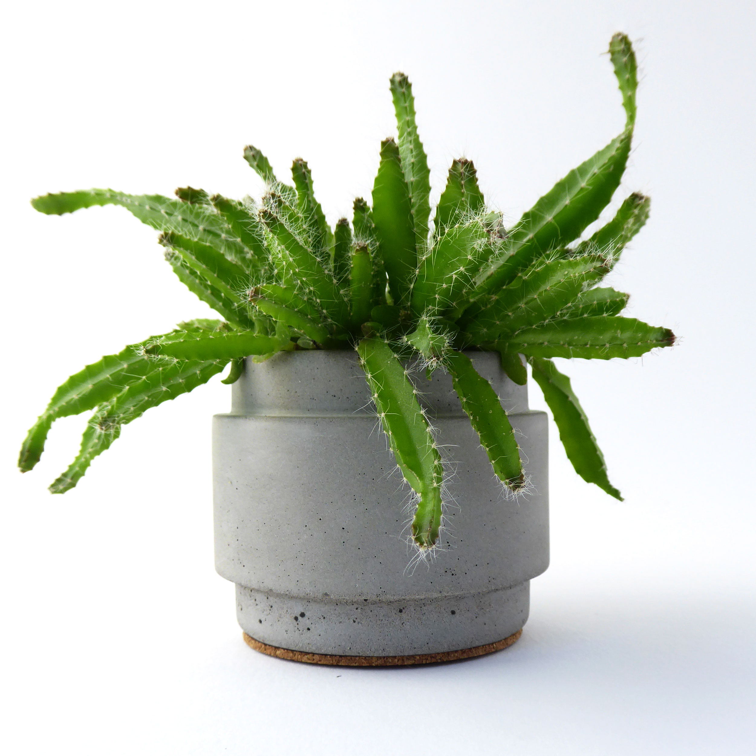 Set of 3 handmade concrete plant pots - natural grey or white