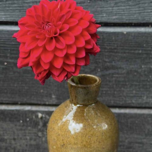 Screenshot Amanda Barker Ceramics